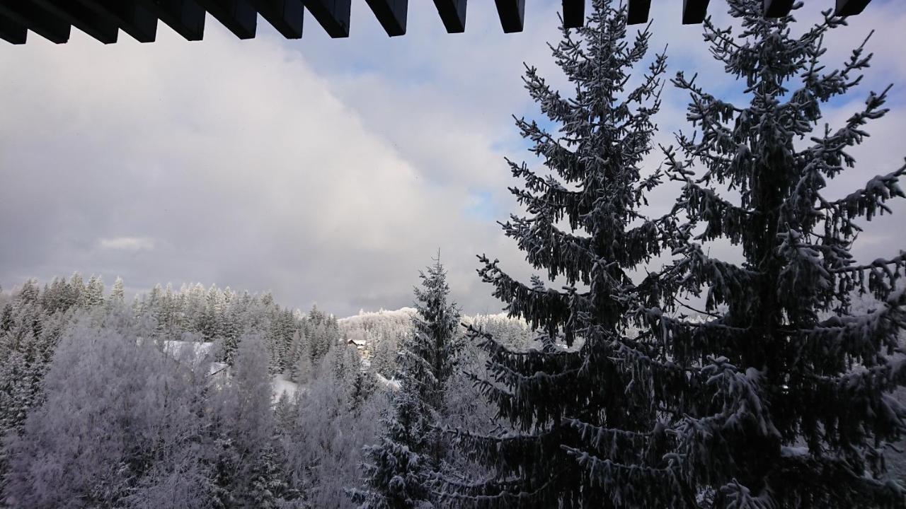 Apartament 2706 Alpin Resort, Etaj 7, Poiana Brasov Buitenkant foto