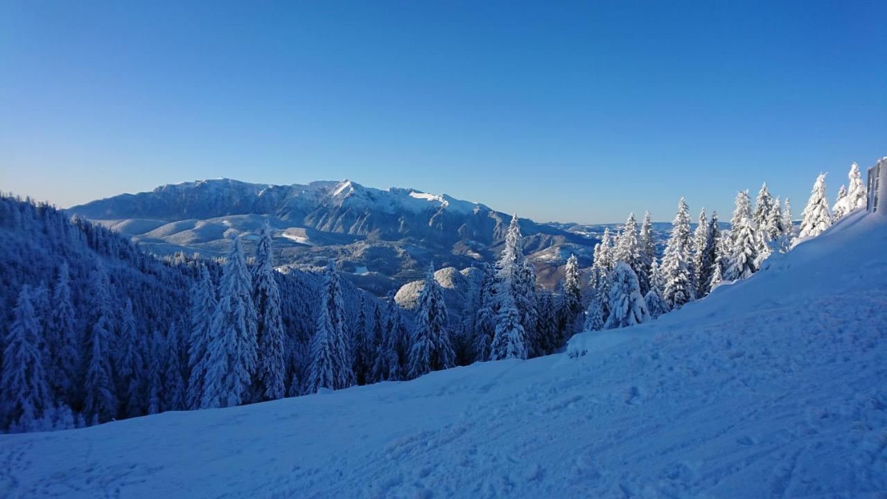 Apartament 2706 Alpin Resort, Etaj 7, Poiana Brasov Buitenkant foto