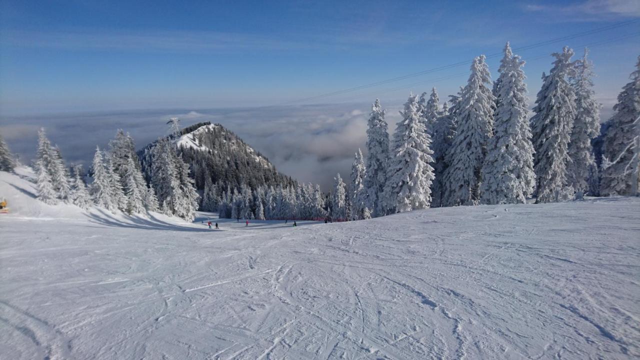 Apartament 2706 Alpin Resort, Etaj 7, Poiana Brasov Buitenkant foto