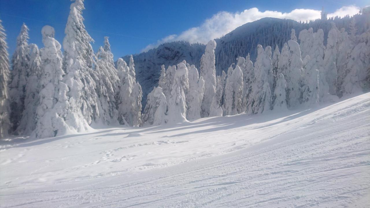 Apartament 2706 Alpin Resort, Etaj 7, Poiana Brasov Buitenkant foto