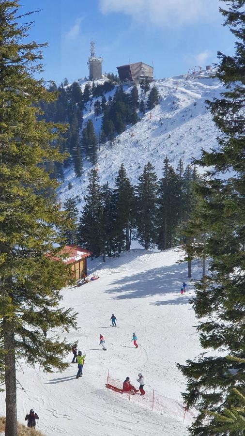 Apartament 2706 Alpin Resort, Etaj 7, Poiana Brasov Buitenkant foto